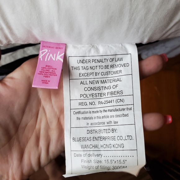 Green PINK pillow with PINK brand pillow - Picture 4 of 6